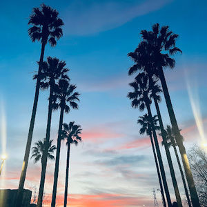 Meet your Posher, Dulce karina